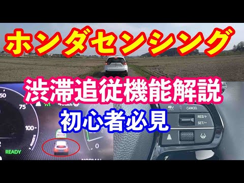 【初心者必見】新型ＺＲ－Ｖホンダセンシングの渋滞追従機能の使い方を分かりやすく解説！