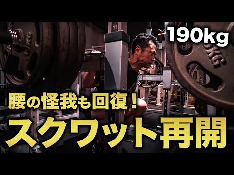 【腰の怪我から回復】手始めに190kgからスクワットを再開しました。