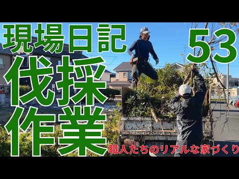 現場日記53　伐採作業