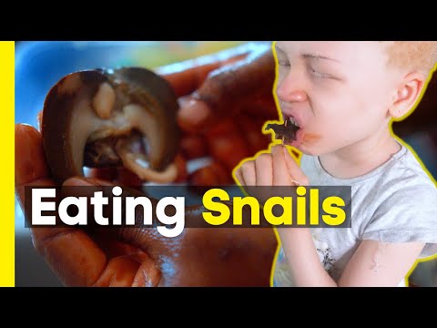 Catch & Cook: GIANT Snails in Nigeria