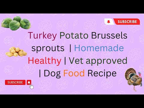 Turkey Potato  and  Brussels sprouts  Homemade Healthy  Vet approved  Dog Food Recipe DIY Dog Food