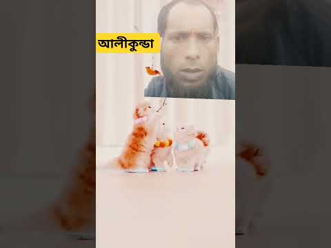 আলী কুন্ডা #motivation #motivation #video #duet #comedy