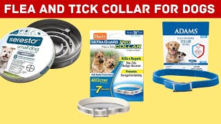 Best Flea And Tick Collar For Dogs 🐕 || Super Strong Solution For Fleas🔥🔥