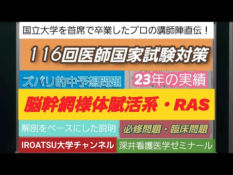 24年の実績[116回医師国家試験対策]予想問題－脳幹網様体賦活系(RAS）－深井看護医学ゼミナール・深井カウンセリングルーム・深井進学公務員ゼミナール・深井ITゼミナール