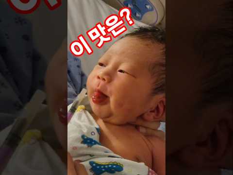 생후 2일째 진수성찬!? #아기 일상 #아기 #shorts #초유 #식사  #귀요미 #cute #baby #생후2일