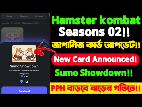 Hamster Combat Season 2 profit per hour দ্রুত বাড়বে।Hamster kombat launce Sumo Showdown November 26!