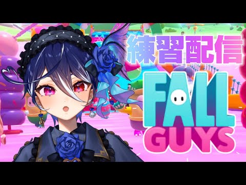 【参加型に変更】Fall Guysやってくよ～～！！！！！【碧海ヒカル/AiceClass】