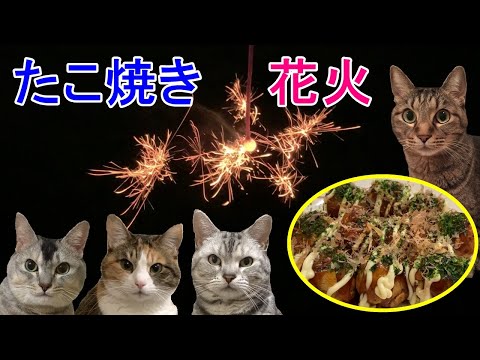 たこ焼き作りと手持ち花火でお祭り気分！猫のおしゃべりペット