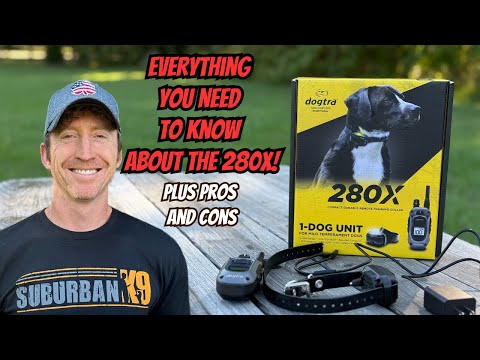 Dogtra 280x Review: Pros and Cons