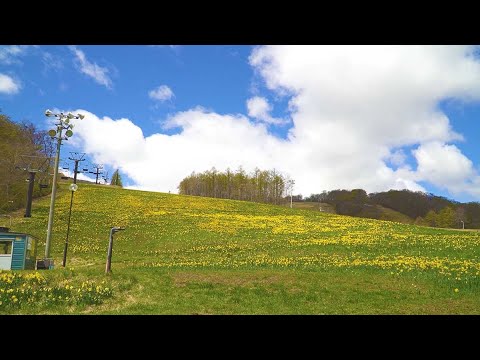 【宮城県観光映像】春の蔵王