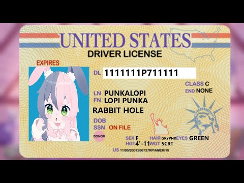 Punkalopi driving license reveal??