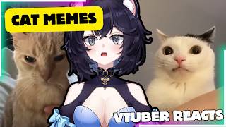 Vtuber REACTS to Best Cat Videos of the Decade