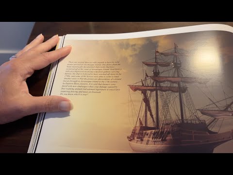 Asmr - Book Look Through / Page Turning - Softly Spoken