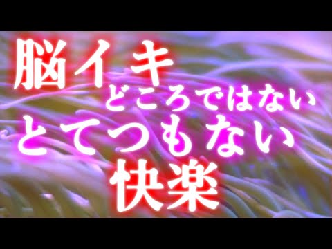 ※閲覧注意【脳イキ】どころではない。必ず、自己責任でお願いいたします。危険を感じた際は直ちに視聴を中止してください。