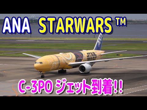 【ANA STARWARS】C-3POジェット到着!! 羽田空港 第2ターミナル