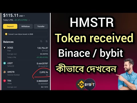 Hamster থেকে পেমেন্ট পেয়েছেন কিনা দেখুন | hamster payment received  binace bybit 😊