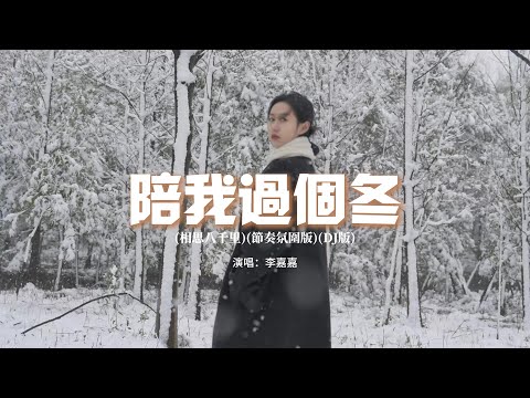 李嘉嘉 - 陪我過個冬(相思八千里) (DJ九零版)『秋去冬來 月如風，能否陪我過個冬，緣起在人群中 看你緣散看你在人群，中愛無影 去無蹤，竹籃打水一場空。』【動態歌詞MV】