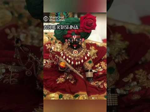 जब एक डॉक्टर को सुनाई दी लड्डू गोपाल के दिल की धड़कन😱 तू जाने क्या हुआ? Laddu Gopal status|yt short