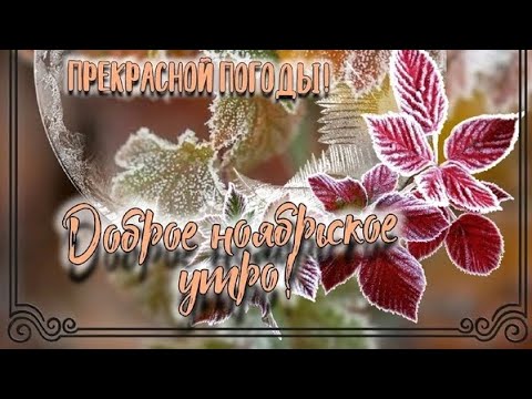 Доброе утро!!! Теплого ноября!!! ☕❄☀