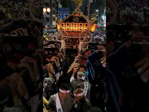 【鳥越神社鳥越まつり】本社提灯神輿の宮入道中