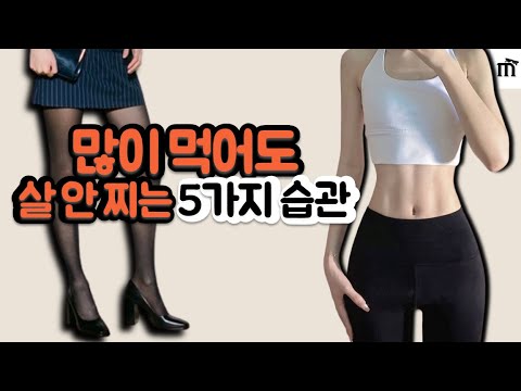 살 안찌는 체질 만드는 비밀, 이것만 알면 됩니다. 많이 먹어도 살이 찌지 않는 진짜 이유와 몸매 유지 꿀팁 모두 공유합니다. I 지속 가능한 다이어트 I 공복감 늦추는 식품까지