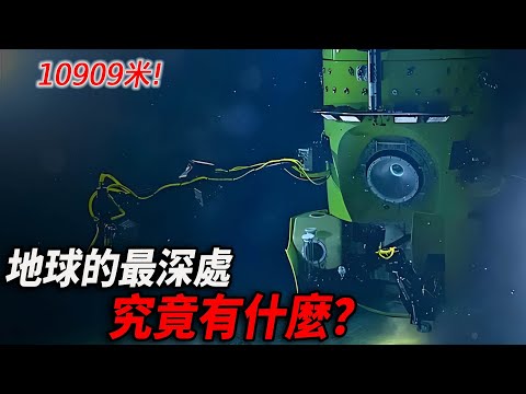 10909 meters! Dive into the Mariana Trench and decipher the lives under the 10 000-meter abyss!