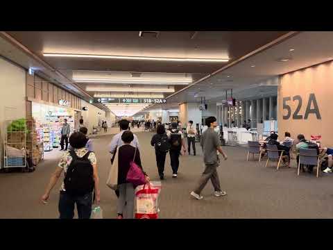 逛機場福岡 搭機回小港 |20240503