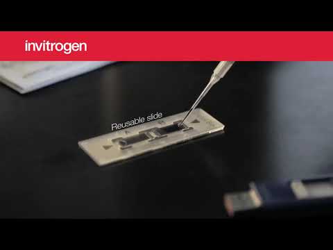 Invitrogen™ Countess™ 3 Automated Cell Counter from Thermo Scientific