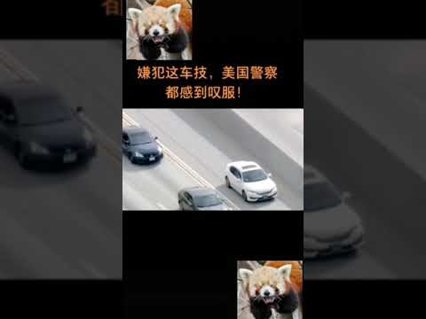 The police catch the thief 警察捉小偷