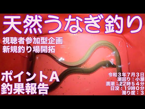 令和3年7月3日 天然うなぎ釣り　視聴者参加型企画　ポイントA釣果報告