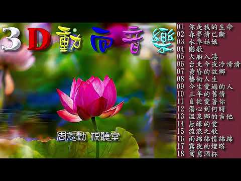 3D動向音樂 1 (高音質)