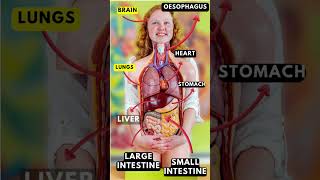 human body parts name with picture #youtube #youtubeshorts #shafiqjaffery