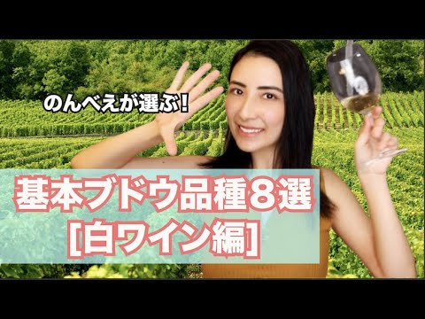 【白ワイン】のんべえ女子が選ぶ！これだけ覚えておけばOK「ワインのブドウ品種３選」後半はワイン診断もあるよ！