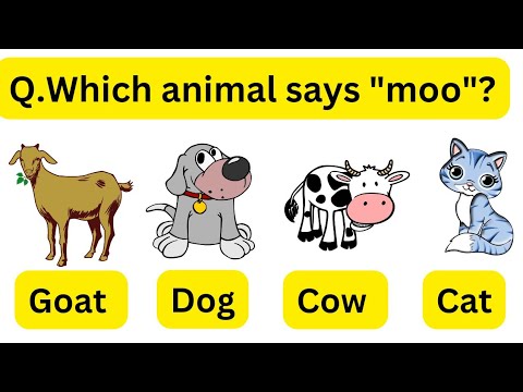 G.K for kids| IQ Quiz| Video For Preschool Grade1 Grade2 kids #kids #education #knowledge #trending