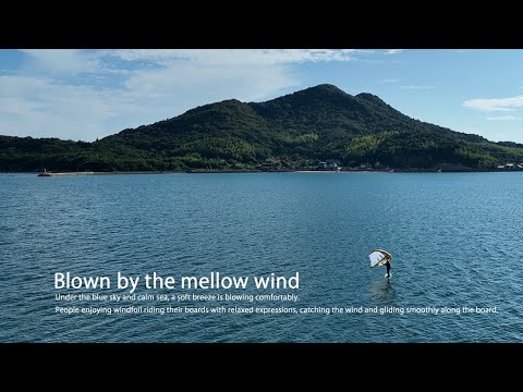 Blown by the mellow wind　2024-8-16