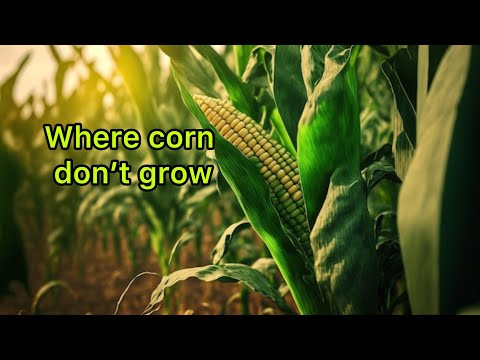 Where Corn Don’t Grow. There’s dusty fields no matter where you go.