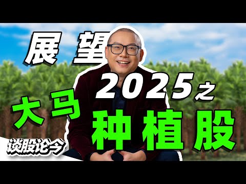 展望2025之：投资种植板块2大注意事项【谈股论今 231】