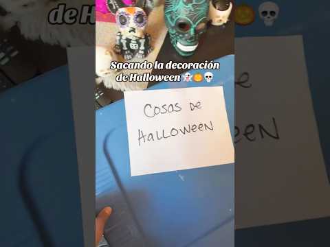 Encontré una sorpresa peluda en la caja de adornos de Halloween