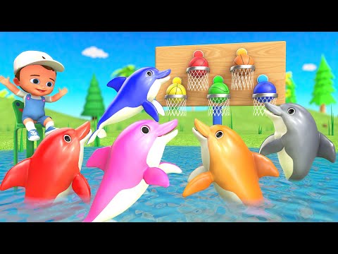 Learning Colors for Kids with Baby Fun Play Color Dolphins Basketball Swimming Pool fun Game Edu