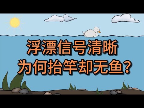 浮漂信号清晰，为何抬竿却无鱼？有5点原因