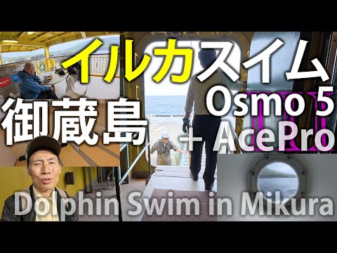 「八丈島流し」からの御蔵島リベンジ!  イルカツアー Part2 / DJI Osmo Action 5 Pro + Insta360 Ace Pro [VLOG:239]