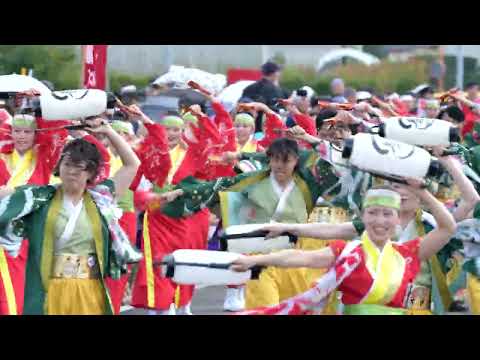 [4k] 祭屋よさこい踊り子隊　不破八幡宮演舞場　よさこい四万十2023　2023年9月17日(日)