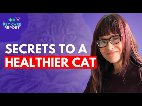 Hidden Health Risks Every Cat Parent Needs to Know!