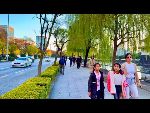 [4K] The Imperial Palace Garden Outside View in Tokyo. # Walking Tour around Marunouchi. Japan.