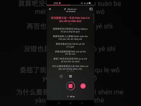 Thực ra điều em muốn không nhiều 我要的并不多 (Pinyin) karaoke