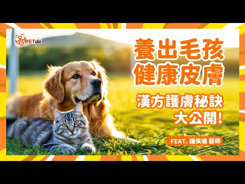 養出毛孩健康皮膚 漢方護膚秘訣大公開! Feat.鍾佩珊醫師【哈寵小學堂】｜#哈寵PETube 第290集