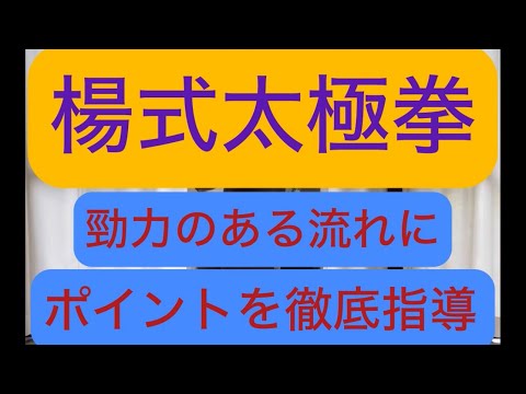 楊式太極拳(40式)をレベルアップ強化指導#張紹偉