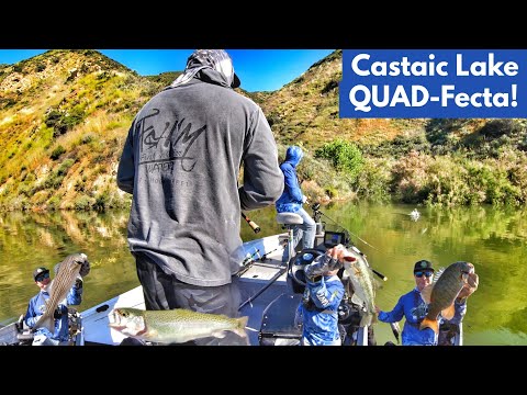 Castaic Lake Quad-Fecta!?