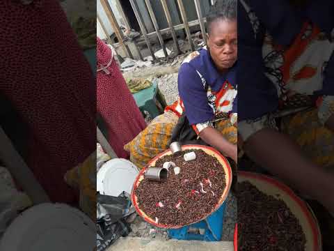 FRIED ROACHES NOW EATEN IN NIGERIA TO QUENCH HUNGER #reels #foryou #how #food #aku