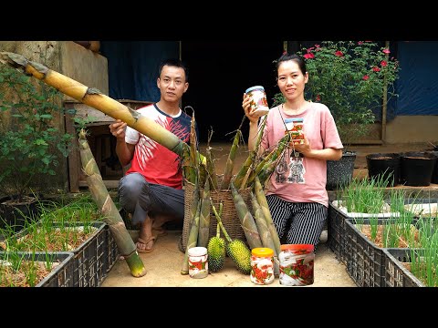 Mai Nha Tranh Harvests bamboo shoots to make chili bamboo shoot vinegar. Goes to market sell